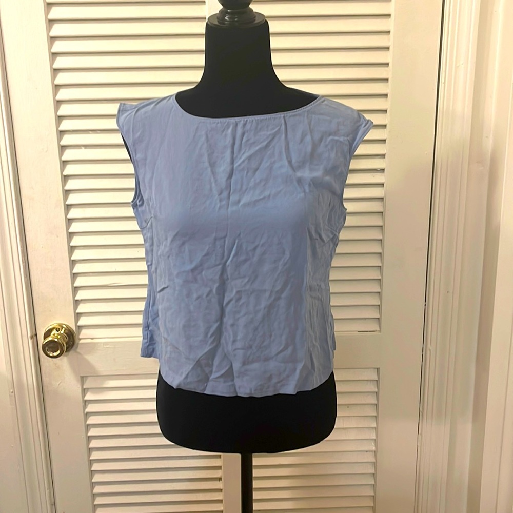 Blue Blouse